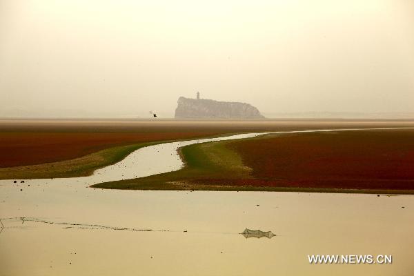 Photo taken on May 4, 2011 shows the low water level at the Xieshan water area of the Poyang Lake in east China's Jiangxi Province, May 4, 2011. The water level of Poyang Lake continues to drop due to the poor precipitation in the previous four months and the uneven distribution of rainfall in the province.