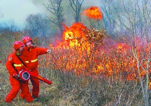 Firefighters work to control a forest fire on Dahinggan Mountains in northeast China's Heilongjiang Province, May 6, 2011. 