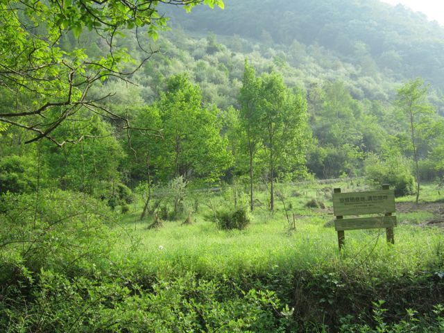 2. Established in 1978, Tangjiahe Nature Reserve covers an area of 400 square kilometers. [Wang Qian/china.org.cn]