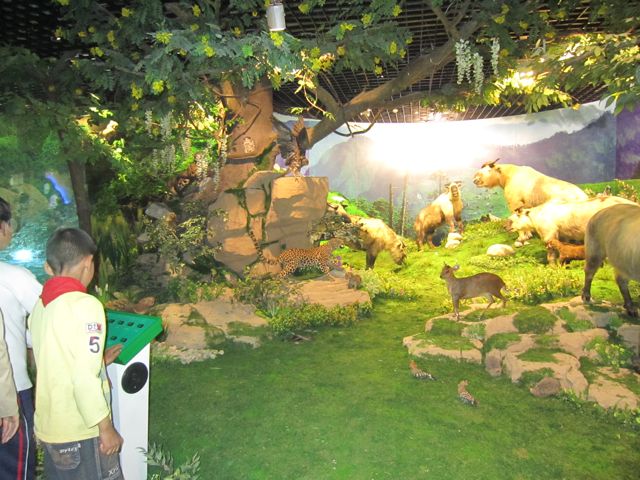 Kids playing at the Tangjiahe Nature Museum. [Wang Qian/china.org.cn]