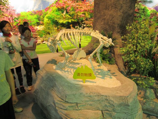An actual panda skeleton on display at the Tangjiahe Nature Museum. [Wang Qian/china.org.cn]