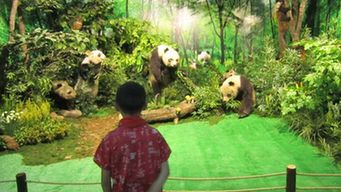 Giant panda wild habitat: Tangjiahe Nature Reserve