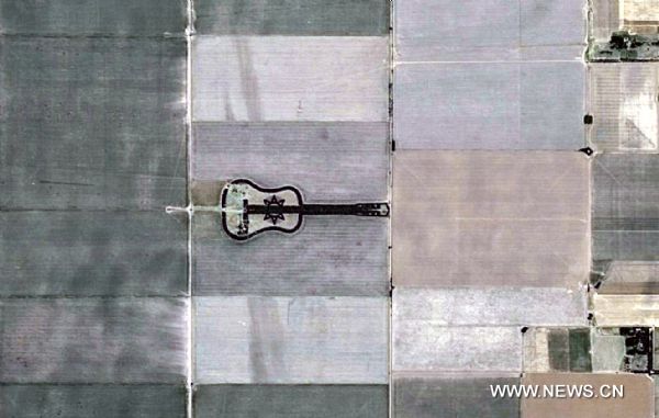 This undated aerial photo shows trees forming a guitar- shape at a farm in La Pampa Province of Argentina. Farmer Pedro Martin Ureta planted roughly 7000 cypress and eucalyptus trees into this magnificent shape just in commemoration of his late wife. (Xinhua) (ypf) 