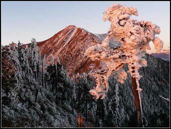 A snapshot of winter at the Tangjiahe Nature Reserve [Courtesy of Deng Jianxin]