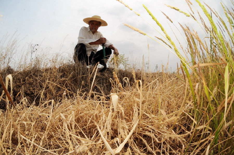 A farmer looks at the farmland with cracks and withered crop due to severe drought in Junshan district of Yueyang city, Central China&apos;s Hunan province, May 11, 2011.[Xinhua]