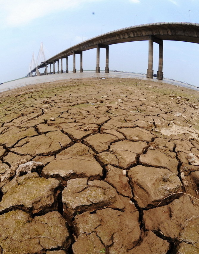 The bed full of cracks due to a severe drought under a bridge in the Dongting Lake in Yueyang city, Central China&apos;s Hunan province. [Xinhua]