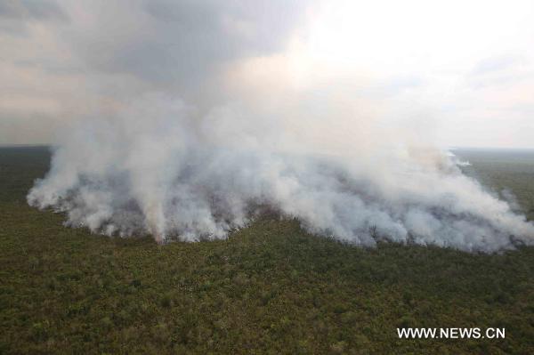 Photo taken on May 15, 2011 shows an aerial view of the forest fire in Cancun, the State of Quinatana Roo, south Mexico. [Xinhua/Barbara Dector]