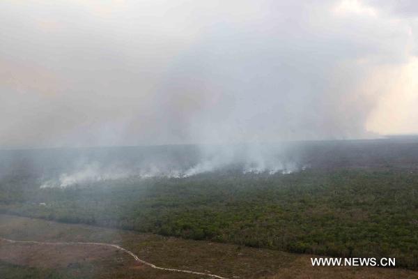 Photo taken on May 15, 2011 shows an aerial view of the forest fire in Cancun, the State of Quinatana Roo, south Mexico. [Xinhua/Barbara Dector]