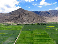 Tibet, the Roof of the World, is the highest region on Earth, with an average elevation of 4,900 meters. Located in a plateau north of the Himalayas, it is a mysterious, exotic place for many outsiders. Since the beginning of the 20th century, the massive, tranquil land with its majestic scenery and mysterious religious culture has exerted an awesome draw on travelers. [三人/forums.nphoto.net]