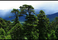 Tibet, the Roof of the World, is the highest region on Earth, with an average elevation of 4,900 meters. Located in a plateau north of the Himalayas, it is a mysterious, exotic place for many outsiders. Since the beginning of the 20th century, the massive, tranquil land with its majestic scenery and mysterious religious culture has exerted an awesome draw on travelers. [三人/forums.nphoto.net]