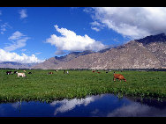 Tibet, the Roof of the World, is the highest region on Earth, with an average elevation of 4,900 meters. Located in a plateau north of the Himalayas, it is a mysterious, exotic place for many outsiders. Since the beginning of the 20th century, the massive, tranquil land with its majestic scenery and mysterious religious culture has exerted an awesome draw on travelers. [三人/forums.nphoto.net]