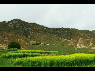 Tibet, the Roof of the World, is the highest region on Earth, with an average elevation of 4,900 meters. Located in a plateau north of the Himalayas, it is a mysterious, exotic place for many outsiders. Since the beginning of the 20th century, the massive, tranquil land with its majestic scenery and mysterious religious culture has exerted an awesome draw on travelers. [三人/forums.nphoto.net]
