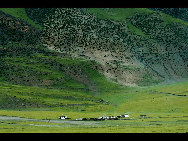 Tibet, the Roof of the World, is the highest region on Earth, with an average elevation of 4,900 meters. Located in a plateau north of the Himalayas, it is a mysterious, exotic place for many outsiders. Since the beginning of the 20th century, the massive, tranquil land with its majestic scenery and mysterious religious culture has exerted an awesome draw on travelers. [三人/forums.nphoto.net]