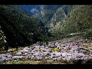 Tibet, the Roof of the World, is the highest region on Earth, with an average elevation of 4,900 meters. Located in a plateau north of the Himalayas, it is a mysterious, exotic place for many outsiders. Since the beginning of the 20th century, the massive, tranquil land with its majestic scenery and mysterious religious culture has exerted an awesome draw on travelers. [三人/forums.nphoto.net]