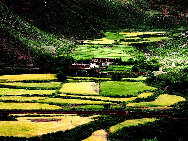 Tibet, the Roof of the World, is the highest region on Earth, with an average elevation of 4,900 meters. Located in a plateau north of the Himalayas, it is a mysterious, exotic place for many outsiders. Since the beginning of the 20th century, the massive, tranquil land with its majestic scenery and mysterious religious culture has exerted an awesome draw on travelers. [三人/forums.nphoto.net]