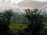 Tibet, the Roof of the World, is the highest region on Earth, with an average elevation of 4,900 meters. Located in a plateau north of the Himalayas, it is a mysterious, exotic place for many outsiders. Since the beginning of the 20th century, the massive, tranquil land with its majestic scenery and mysterious religious culture has exerted an awesome draw on travelers. [三人/forums.nphoto.net]