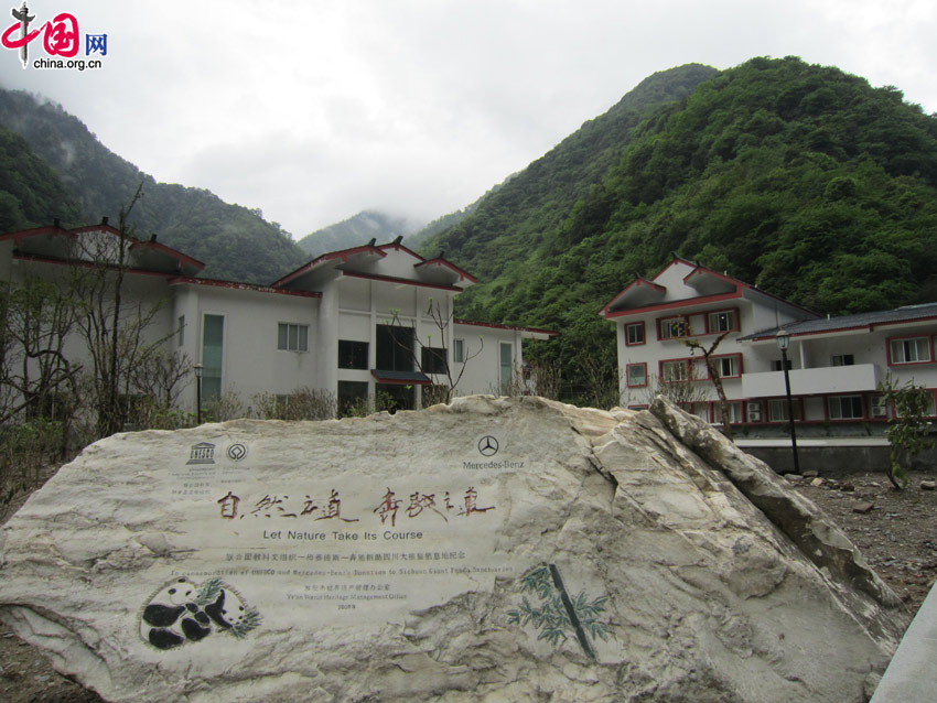 The wild panda rescue center at Fengtongzhai Nature Reserve. [Wang Qian/China.org.cn]