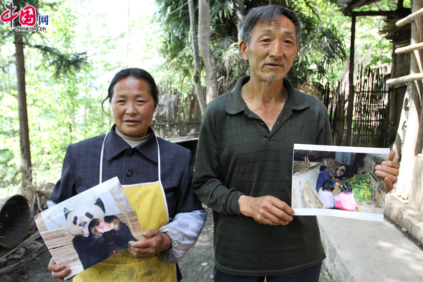 Li Tingzhong and his wife, Tao Defen, show reporters photos of wild pandas that have dropped by their house. [Zong Cao/China.org.cn]