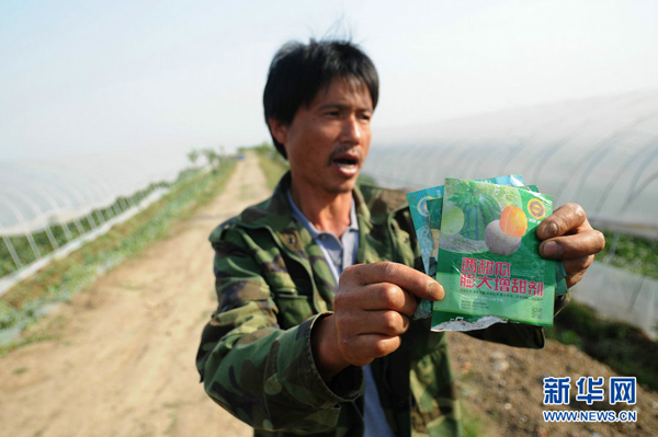 Watermelons have been bursting by the score in eastern China after farmers gave them overdoses of growth chemicals during wet weather. In the photo a famer shows the watermelon growth accelerator forchlorfenuron.