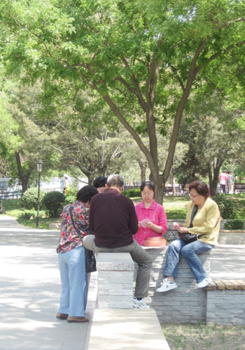 A group of people play cards on a sunny afternoon in Taoranting Park. [Photo:CRIENGLISH.com] 