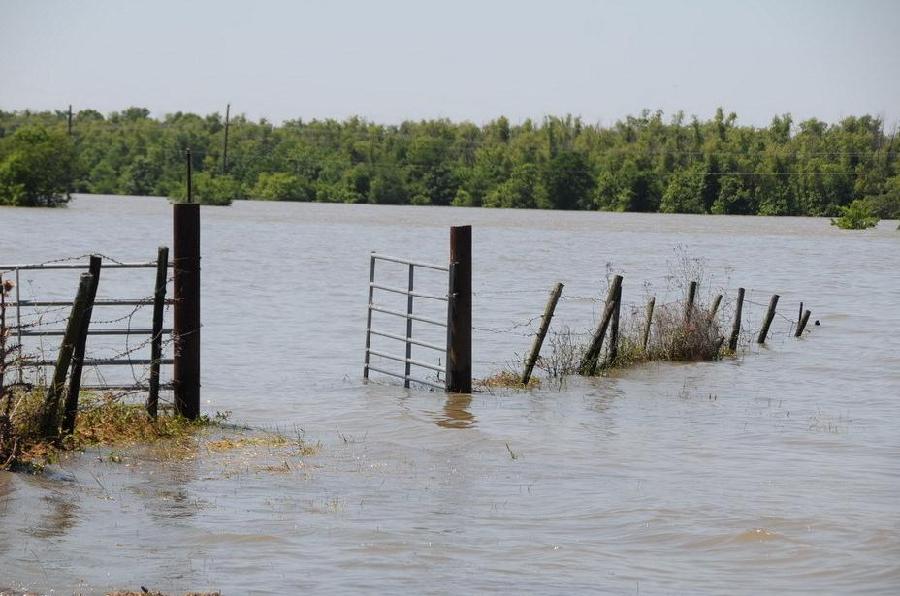 Water from the inflated Mississippi River gushed through a floodgate on Saturday for the first time in nearly four decades and headed toward thousands of homes and farmland in Louisiana's French-speaking countryside. [Xinhua]