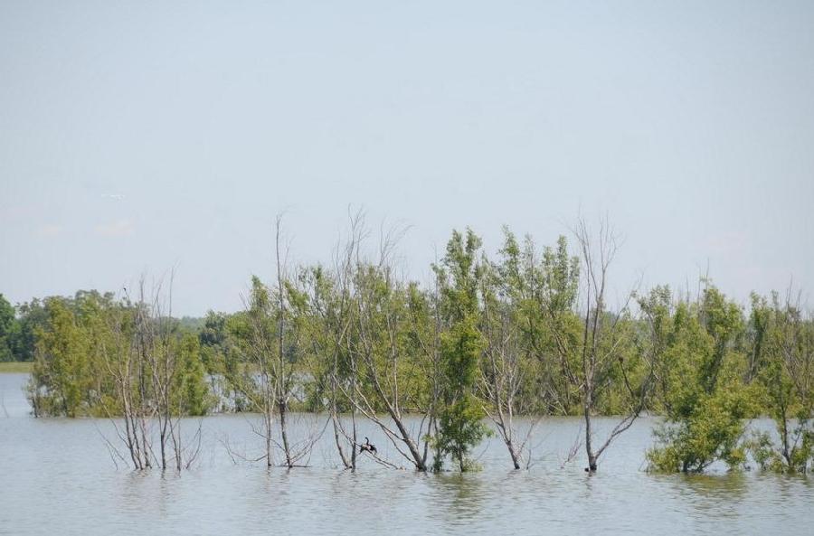 Water from the inflated Mississippi River gushed through a floodgate on Saturday for the first time in nearly four decades and headed toward thousands of homes and farmland in Louisiana's French-speaking countryside. [Xinhua]