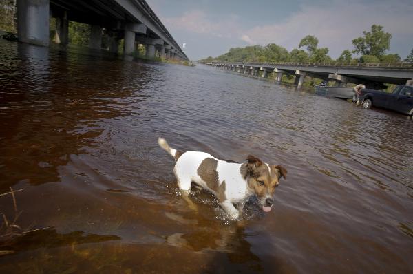 Flooded U.S. heartland rivers feed Mississippi crests