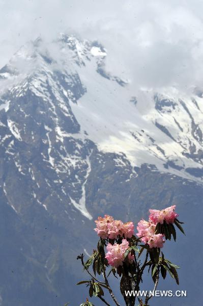 Photo taken on May 14, 2011 shows a scenic view of Gyironggou in Gyirong County of Xigaze Prefecture, southwest China's Tibet Autonomous Region. [Xinhua/Tao Xiyi]