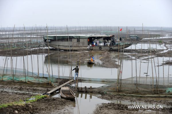 Photo taken on May 24, 2011 shows a big boat, residence for fisherman Shu Zhenjia's family, stranded in the partially dried-up Honghu Lake in Honghu City, central China's Hubei Province. Plagued by a severe drought which is spreading throughout China's southern regions, Honghu Lake has dwindled by a third in water surface and dropped down to less than 40 centimeters in its deepest place. (Xinhua/Hao Tongqian) (zn) 