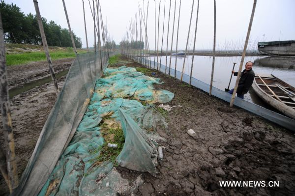 Photo taken on May 24, 2011 shows a dried-up fishpond in the Honghu Lake in Honghu City, central China's Hubei Province. Plagued by a severe drought which is spreading throughout China's southern regions, Honghu Lake has dwindled by a third in water surface and dropped down to less than 40 centimeters in its deepest place. (Xinhua/Hao Tongqian) (zn) 