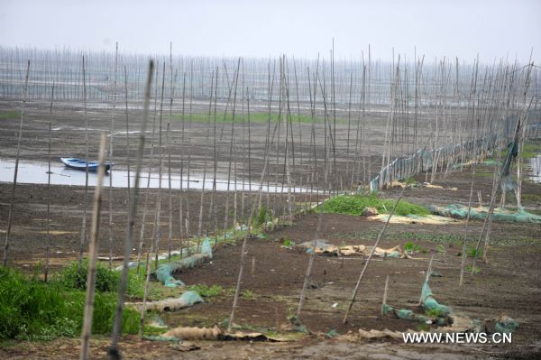 Photo taken on May 24, 2011 shows a dried-up fishery in the Honghu Lake in Honghu City, central China's Hubei Province. Plagued by a severe drought which is spreading throughout China's southern regions, Honghu Lake has dwindled by a third in water surface and dropped down to less than 40 centimeters in its deepest place. (Xinhua/Hao Tongqian) (zn) 