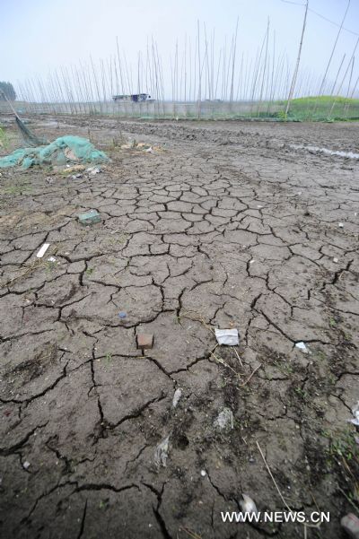 Photo taken on May 24, 2011 shows the dried-up bottom of the Honghu Lake in Honghu City, central China's Hubei Province. Plagued by a severe drought which is spreading throughout China's southern regions, Honghu Lake has dwindled by a third in water surface and dropped down to less than 40 centimeters in its deepest place. (Xinhua/Hao Tongqian) (zn) 