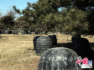 The Sculpture Garden of China's Anti-Japanese War was built since 1995 and was finished in 2000, in honor of the 55th anniversary of China's Anti-Japanese War. The garden has served as a patriotism educational base in Beijing. The garden is located in Fengtai District of Beijing, covering an area of 20 hectares.