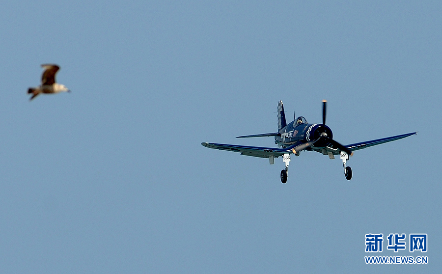 An aircraft performs aerobatics over Johns Beach in New York, the United States, May 28, 2011. 