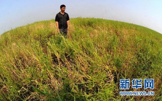 The central region of the lake has now become a vast grassland. 