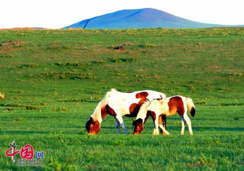 Xilingol Grassland, one of the 'Top 8 June destinations in China' by China.org.cn.