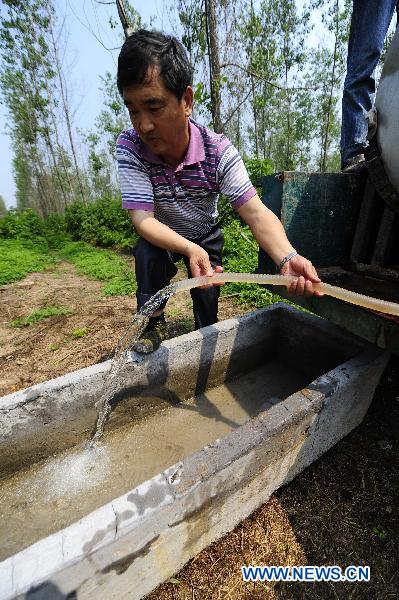  staff member adds water to a flume at a national nature reserve for milu deer, or Père David&apos;s deer, in Shishou, central China&apos;s Hubei Province, May 30, 2011.