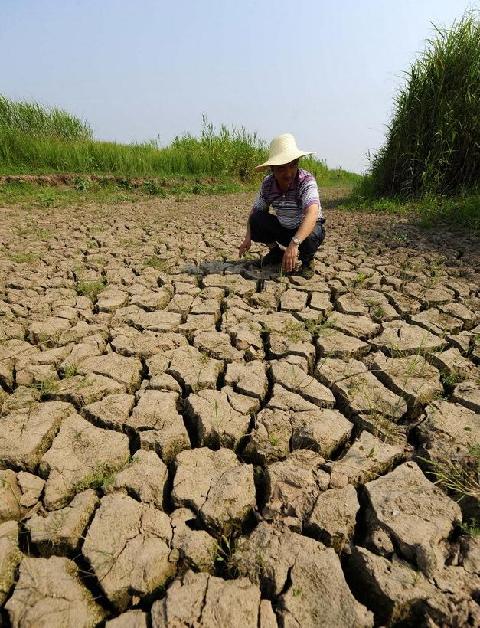 A staff member works on the dried land at a national nature reserve for milu deer, or Père David&apos;s deer, in Shishou, central China&apos;s Hubei Province, May 30, 2011. [Xinhua]
