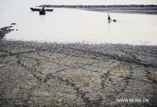 Photo taken on May 28, 2011 shows the stranded boats on the dried field of Chaohu Lake in Chaohu City of east China's Anhui Province. At least 200 boats piled up in Chaohu Lake as the drought hit Anhui Province.[Xinhua] 