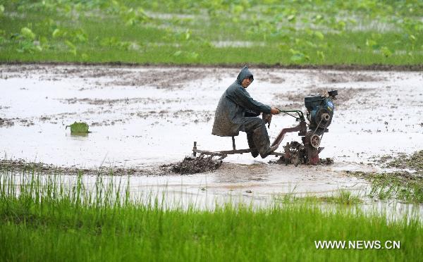A farmer ploughs the field in the rain in Jianli County, central China&apos;s Hubei Province, May 31, 2011. The rain eased the drought in Hubei Province while farmers seized the time to transplant rice. [Xinhua]