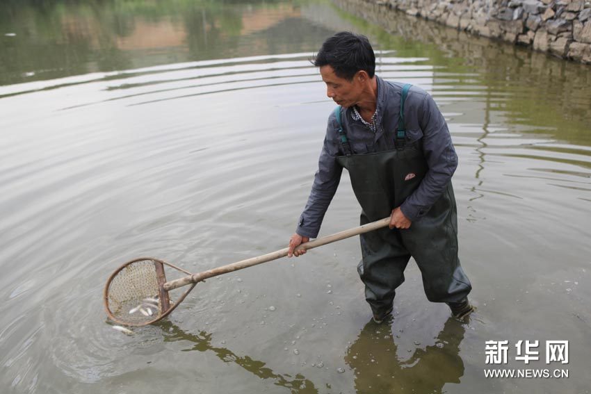 A man attempts to catch fish in an almost dried-up irrigation canal leading from Poyang Lake, May 31, 2011. [Xinhua]