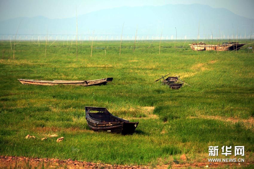The dried-up bed was seen in Poyang Lake, May 31, 2011. [Xinhua]