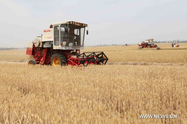 Farmers drive combines to harvest wheat in Shangzhuan Village of Ganyu County in east China&apos;s Jiangsu Province, June 1, 2011. In despite of lingering drought in the province, Ganyu is expected to increase its wheat output as the county has expanded the sowing area this year. [Xinhua]