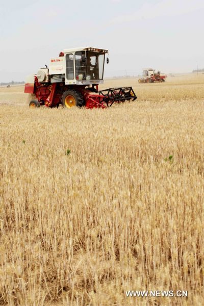 Farmers drive combines to harvest wheat in Shangzhuan Village of Ganyu County in east China&apos;s Jiangsu Province, June 1, 2011. In despite of lingering drought in the province, Ganyu is expected to increase its wheat output as the county has expanded the sowing area this year. [Xinhua]