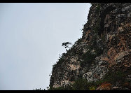 Covering an area of 110 square kilometers, Bingyu Valley is located north of Zhuanghe City, 240 kilometers from Dalian. It is labeled as 'Little Guilin' and 'Oriental Miniature Switzerland' thanks to its rugged cliffs, astonishing peaks, clear rivers, and mysterious caves. The valley is beautiful in different ways during different seasons. [溪谷笨笨/bbs.fengniao]