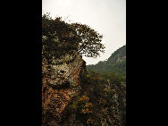 Covering an area of 110 square kilometers, Bingyu Valley is located north of Zhuanghe City, 240 kilometers from Dalian. It is labeled as 'Little Guilin' and 'Oriental Miniature Switzerland' thanks to its rugged cliffs, astonishing peaks, clear rivers, and mysterious caves. The valley is beautiful in different ways during different seasons. [溪谷笨笨/bbs.fengniao]