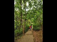 Covering an area of 110 square kilometers, Bingyu Valley is located north of Zhuanghe City, 240 kilometers from Dalian. It is labeled as 'Little Guilin' and 'Oriental Miniature Switzerland' thanks to its rugged cliffs, astonishing peaks, clear rivers, and mysterious caves. The valley is beautiful in different ways during different seasons. [溪谷笨笨/bbs.fengniao]