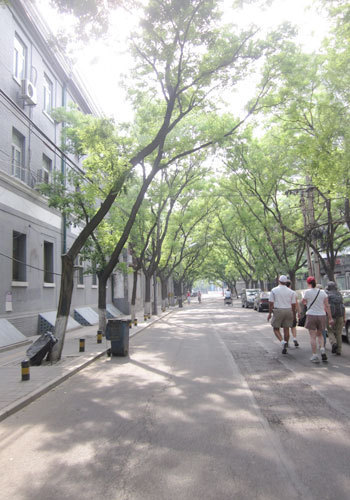 Dongjiaominxiang's tree lined sidewalks next to handsome Western style buildings create a historic backdrop for a summer promenade. [Photo:CRIENGLISH.com]