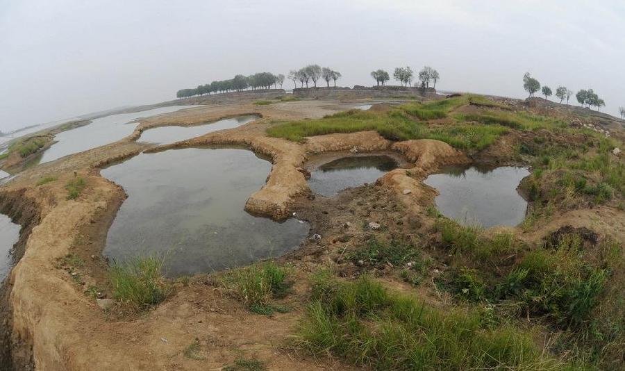 Photo taken on June 2, 2011 shows the wetland which has dried up due to drought in the East Dongting Lake National Nature Reserve in Yueyang City of central China&apos;s Hunan Province. 