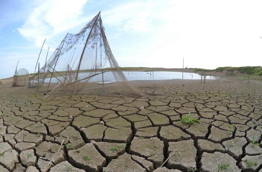 Photo taken on June 1, 2011 shows a marsh which has almost dried up due to drought in the East Dongting Lake National Nature Reserve in Yueyang City of central China&apos;s Hunan Province. [Xinhua]